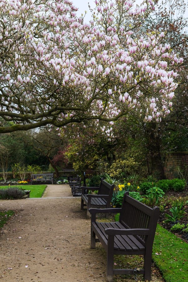 Pour qui peuvent être offerts des brassards personnalisés en cadeau ?