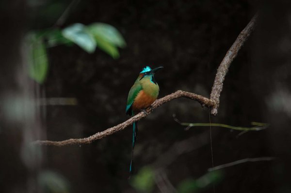 Titre connexe : "Comment l'onboarding personnalisé aide les nouveaux employés à s'épanouir dès le premier jour